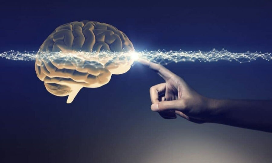 Coaching augmenté avec les Neurosciences : connaître les processus ...